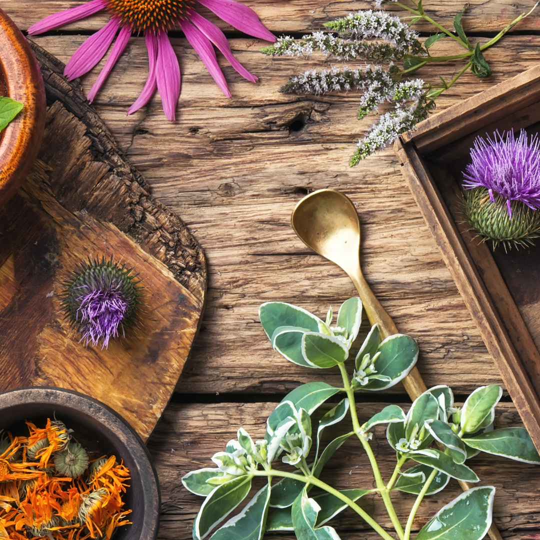 Best herbs hot sale for hair growth