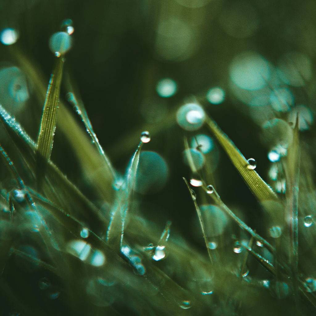 The Biggest Key To Healthy Natural Hair: Moisture