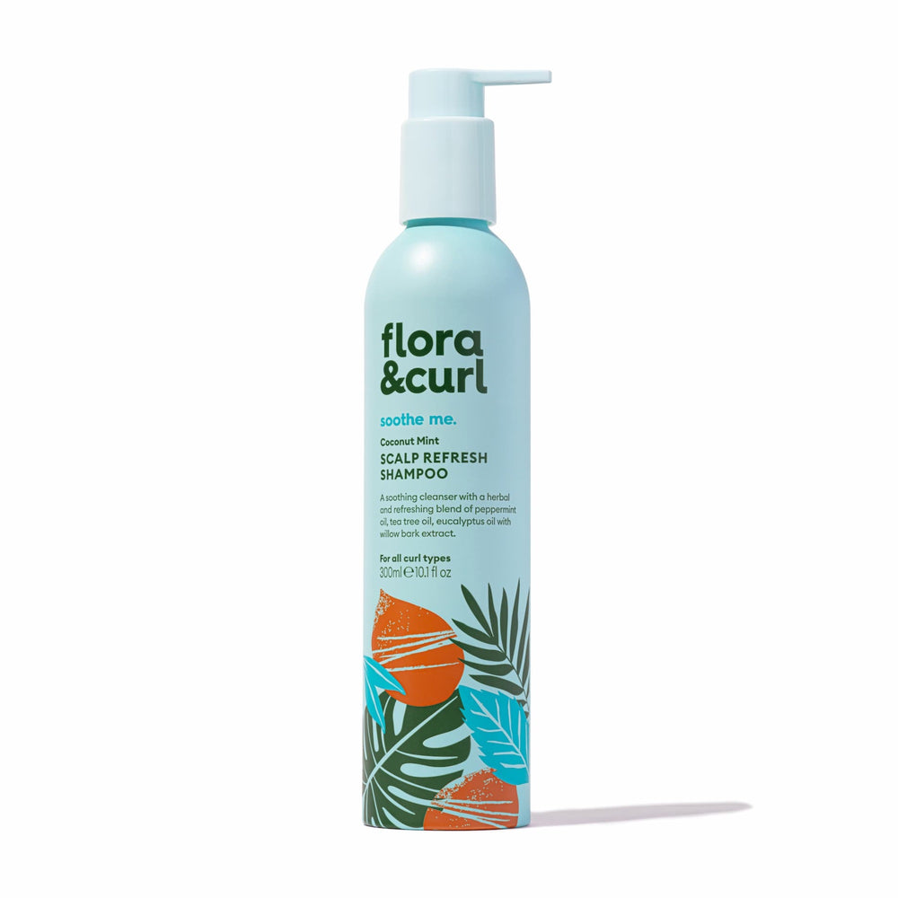 pflanze aloe vera kaufen Aloe Vera Pflanze online kaufen – MyZimmerpflanze.de